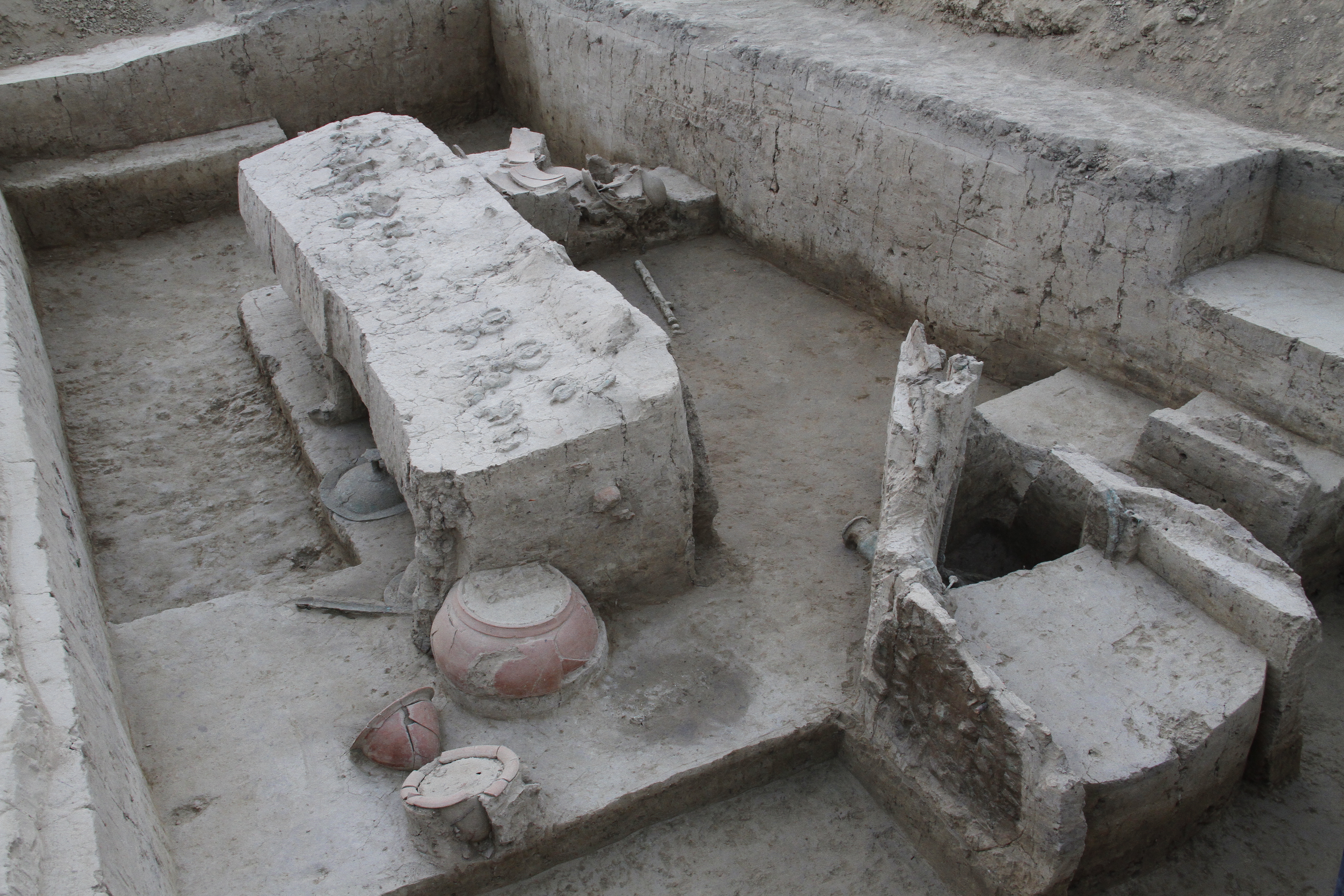 बागपत जिले में सादिकपुर सिनाैली साइट की खुदाई में मिला रथ