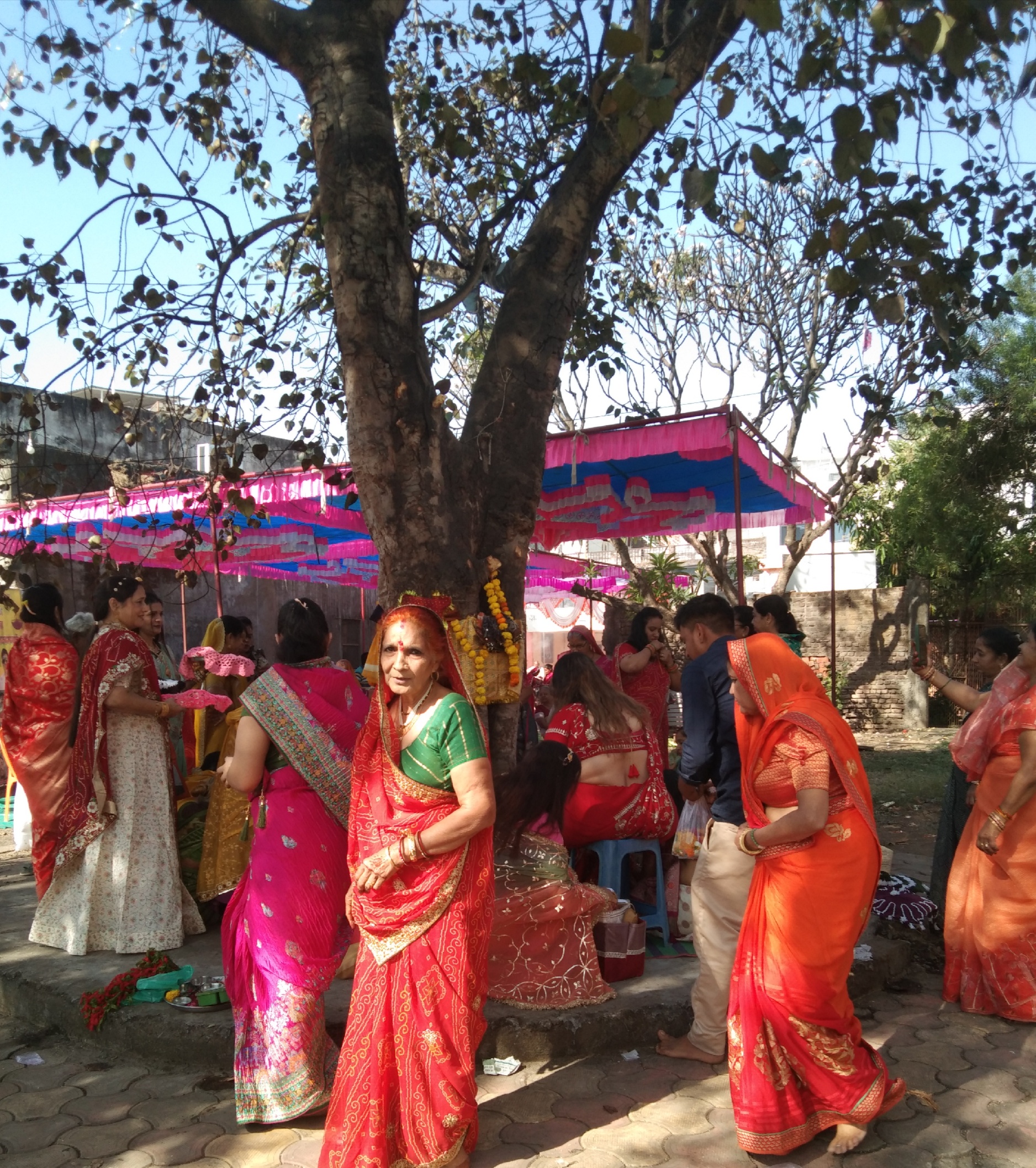 दशा माता व्रत विधान