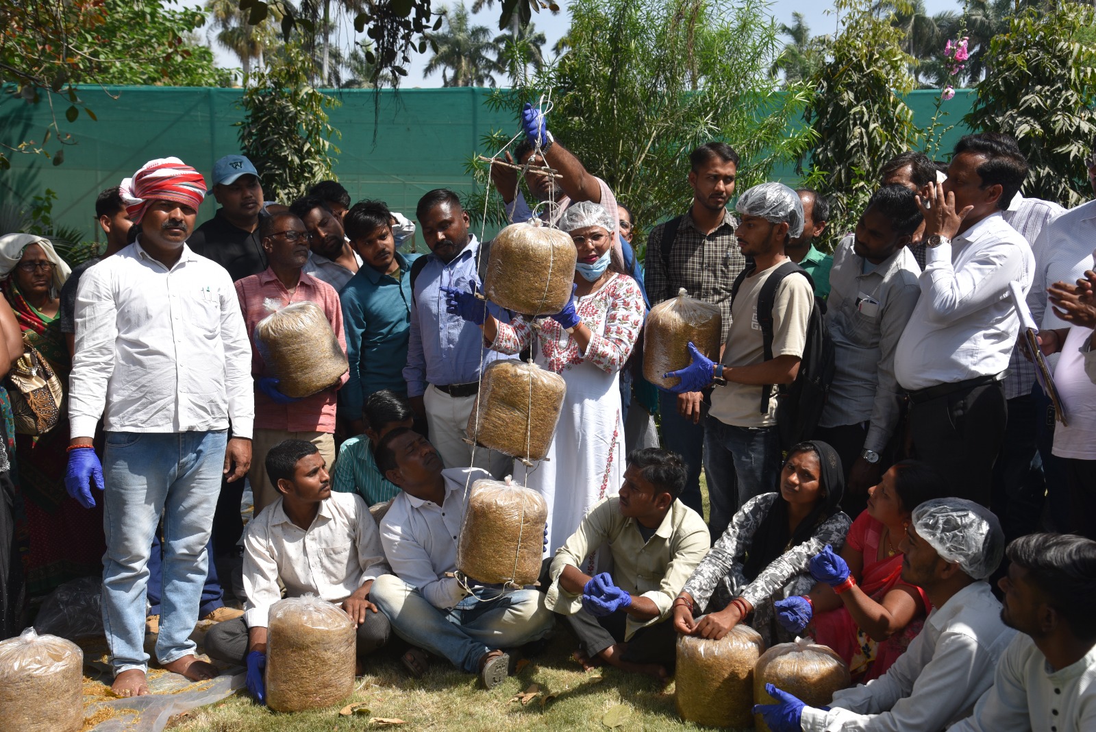 मशरूम प्रशिक्षण का छाया चित्र