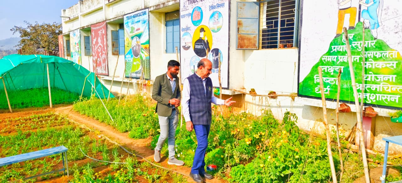 School ke kichen garden me ug rahi sabjiya