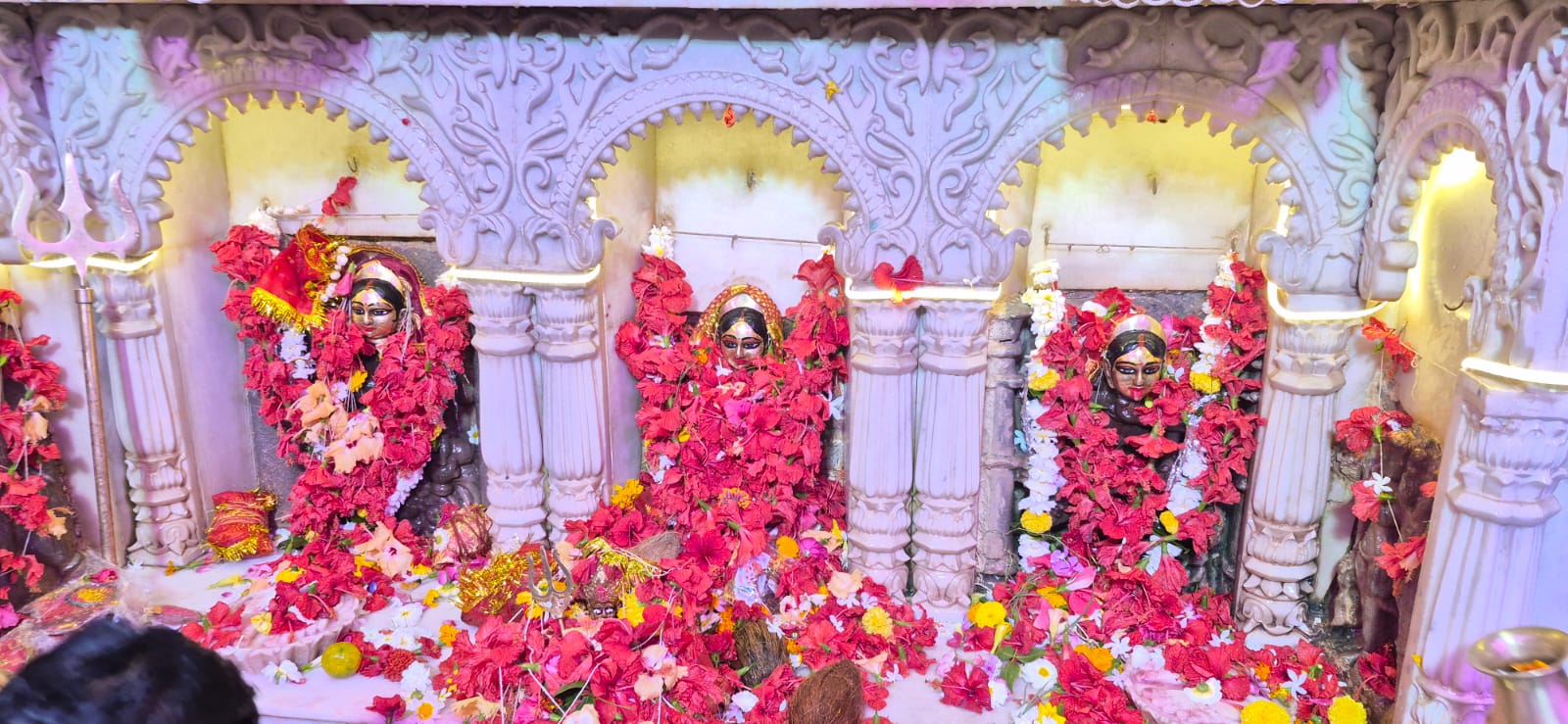 दमोह:नवरात्रि के प्रथम दिन दमोह में गूंजे जयकारे, देवी मंदिरों में श्रद्धालुओं का सैलाब