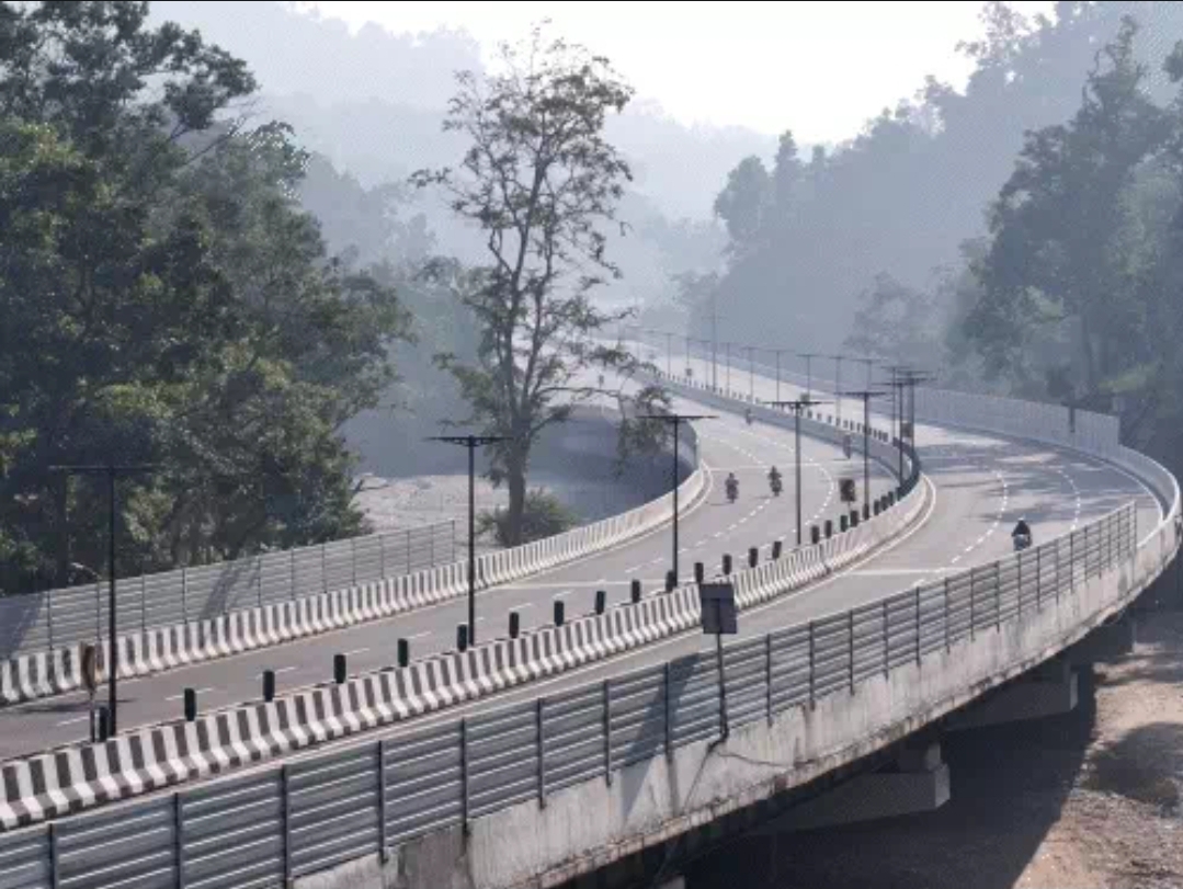 एलिवेटेड वाइल्डलाइफ कॉरिडोर