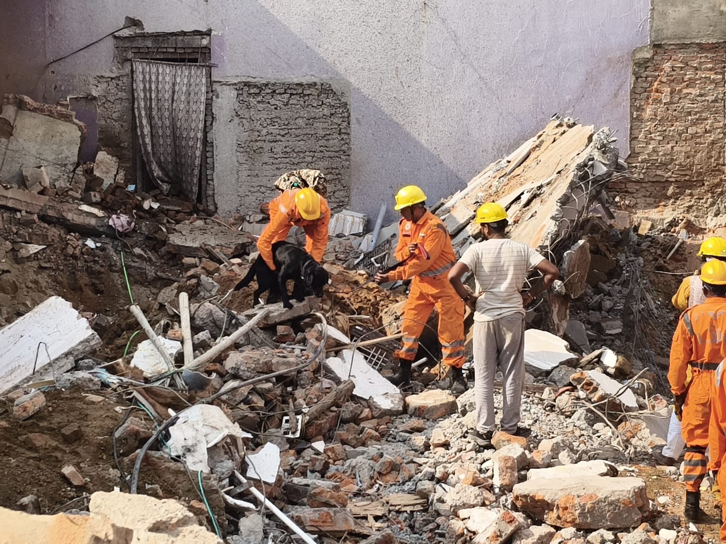 फाईल फाेटाे