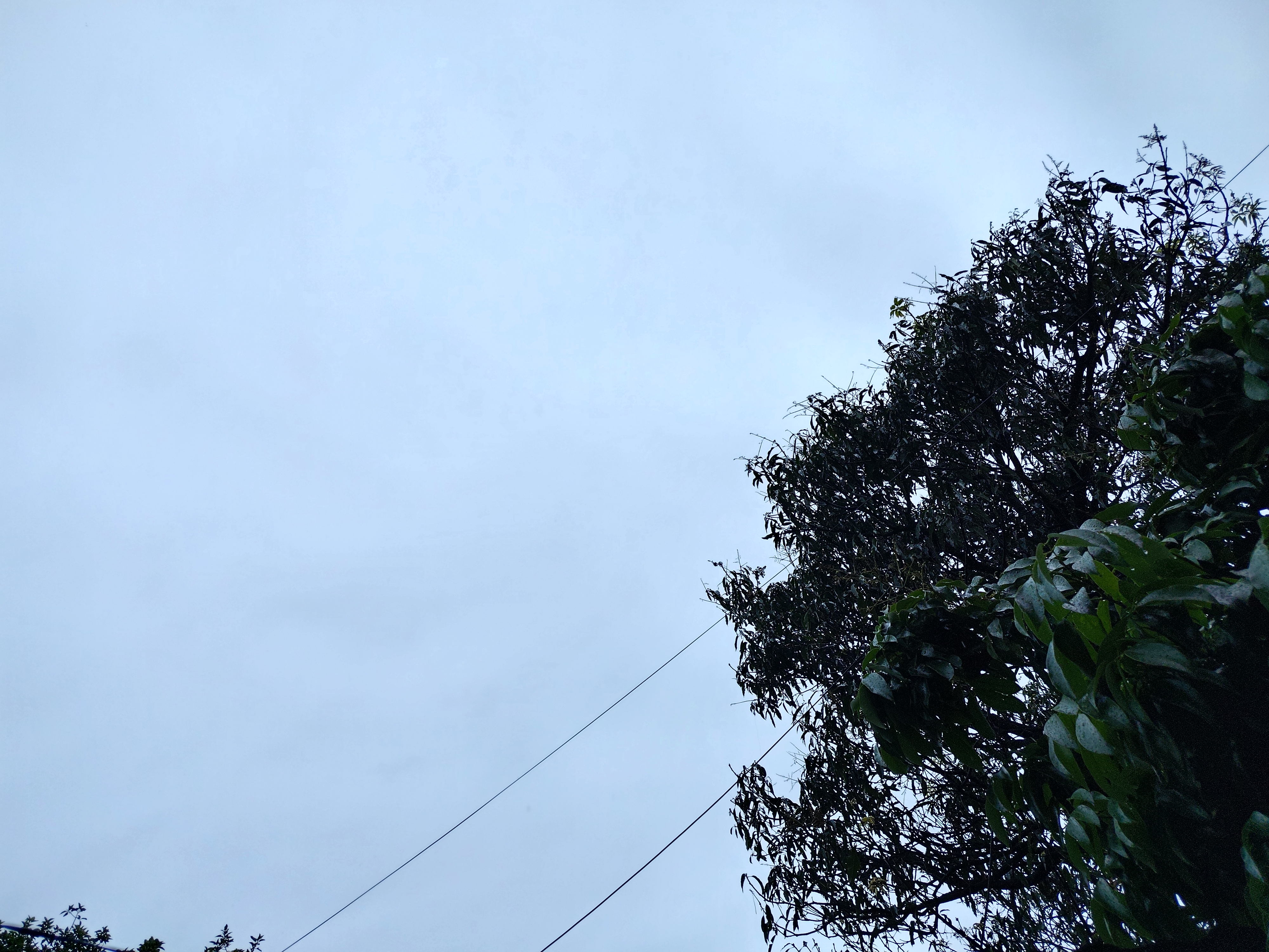 देहरादून मौसम।