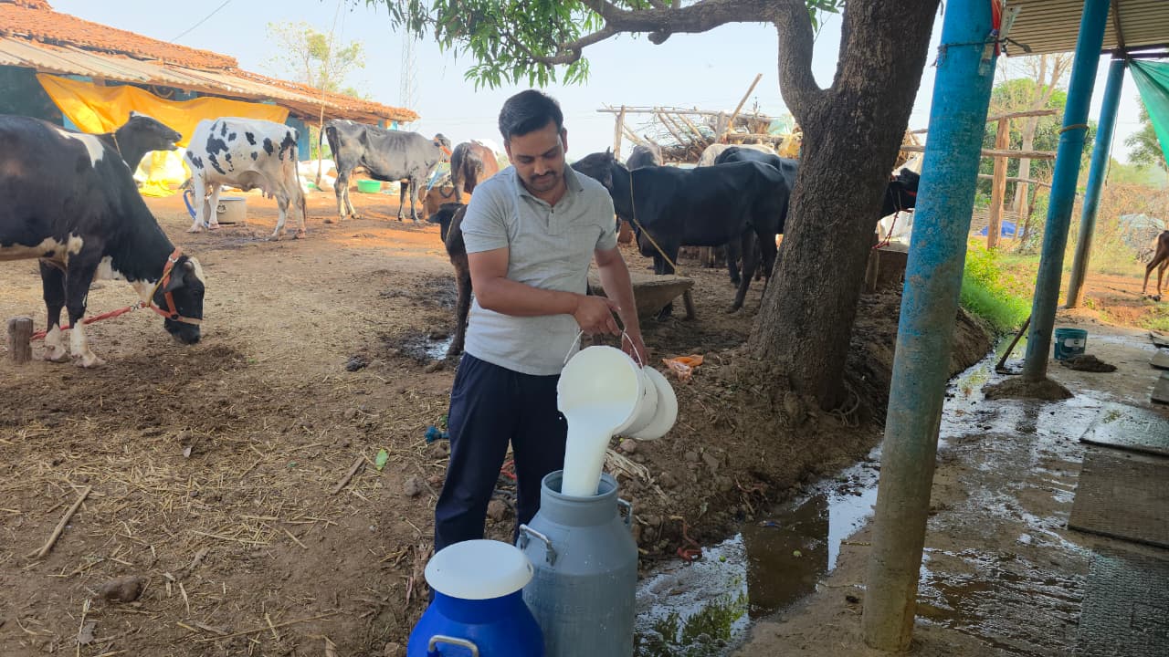 सफलता की श्वेत क्रांति