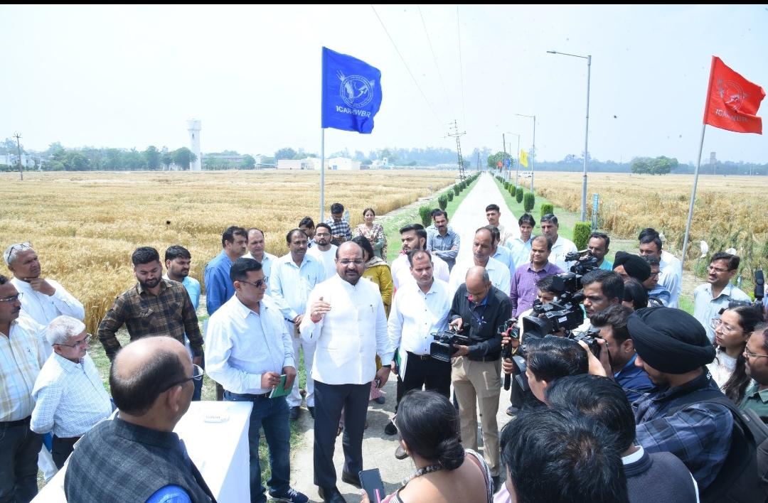 करनाल में गेहूं, जौ पर चल रहे अनुसंधान पर बात करते हुए डॉ एम एल जाट