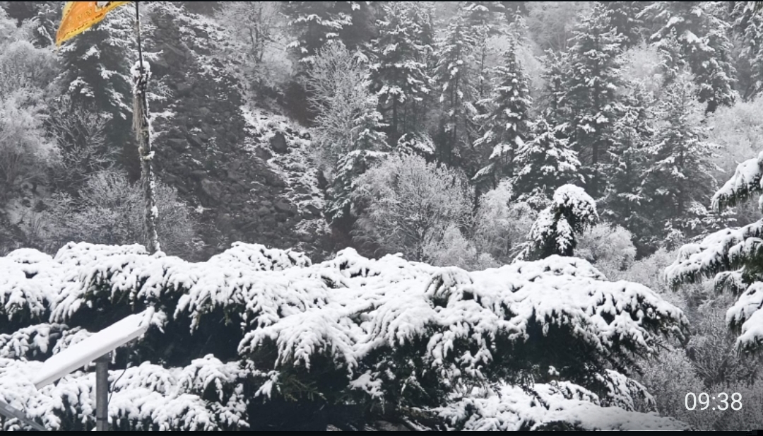 उत्तरकाशी के हर्षिल क्षेत्र में  बर्फबारी।