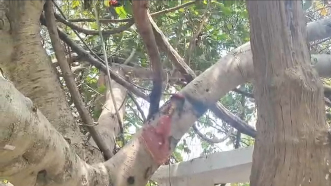 जशपुर मंदिर में तोड़फोड़ जशपुर मंदिर में तोड़फोड़